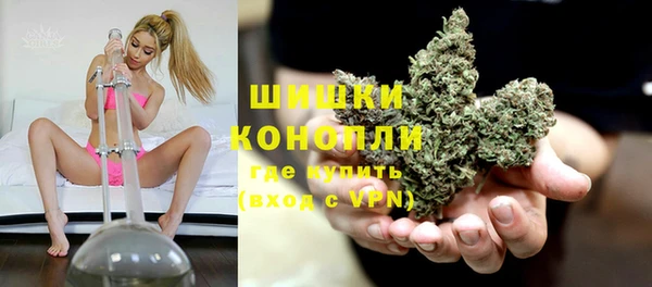 PSILOCYBIN Армянск