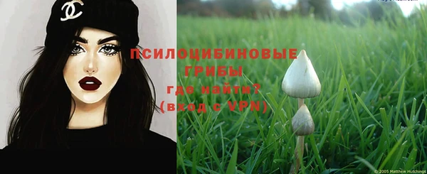 PSILOCYBIN Армянск