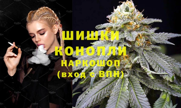 СК Аркадак