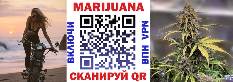 Конопля семена  МЕГА сайт  Сураж 
